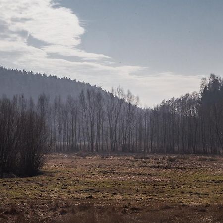 Domki Przystanek Drzewina Bagian luar foto