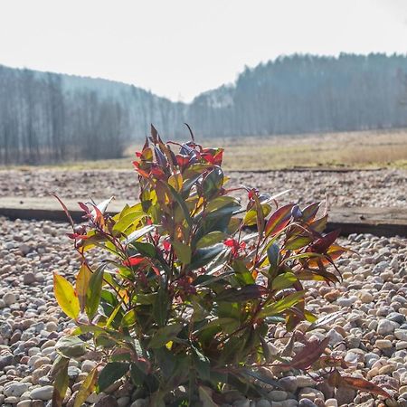 Domki Przystanek Drzewina Bagian luar foto