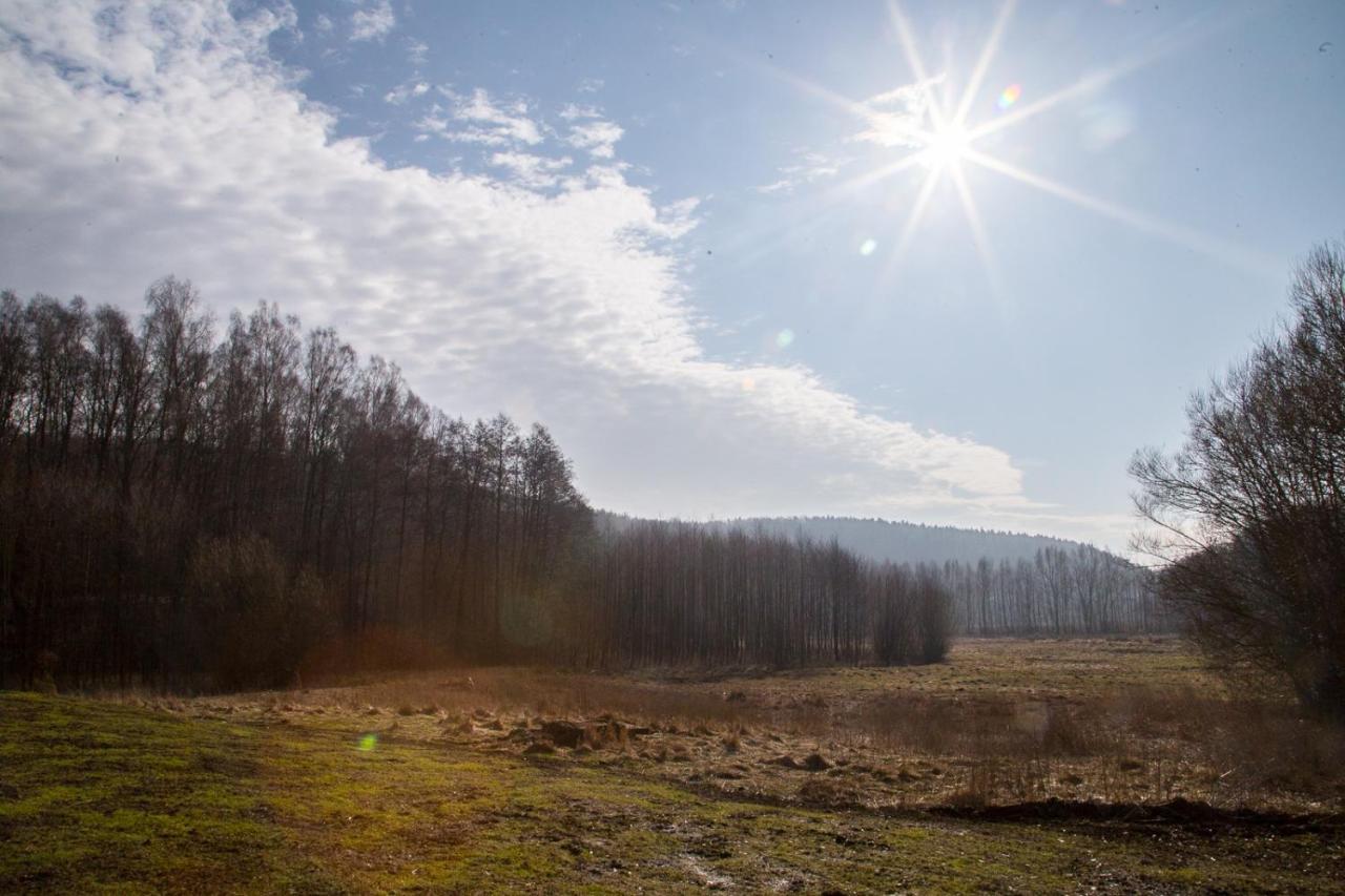 Domki Przystanek Drzewina Bagian luar foto