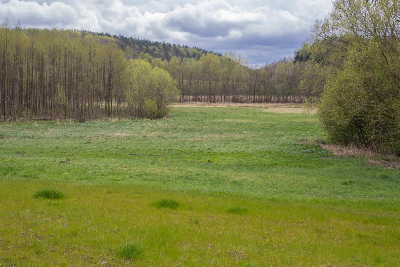 Domki Przystanek Drzewina Bagian luar foto